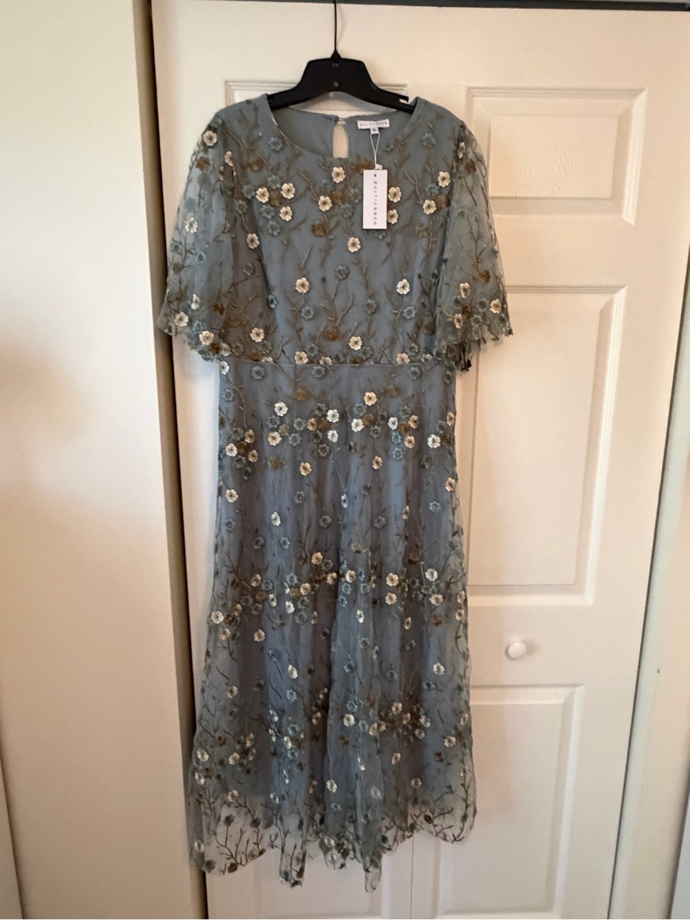 Baltic Born Arabella Embroidered Tulle Maxi Dress